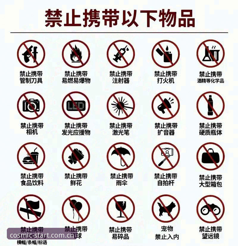 天幕启屏中国首页下载实用指南——老用户手把手教你避坑